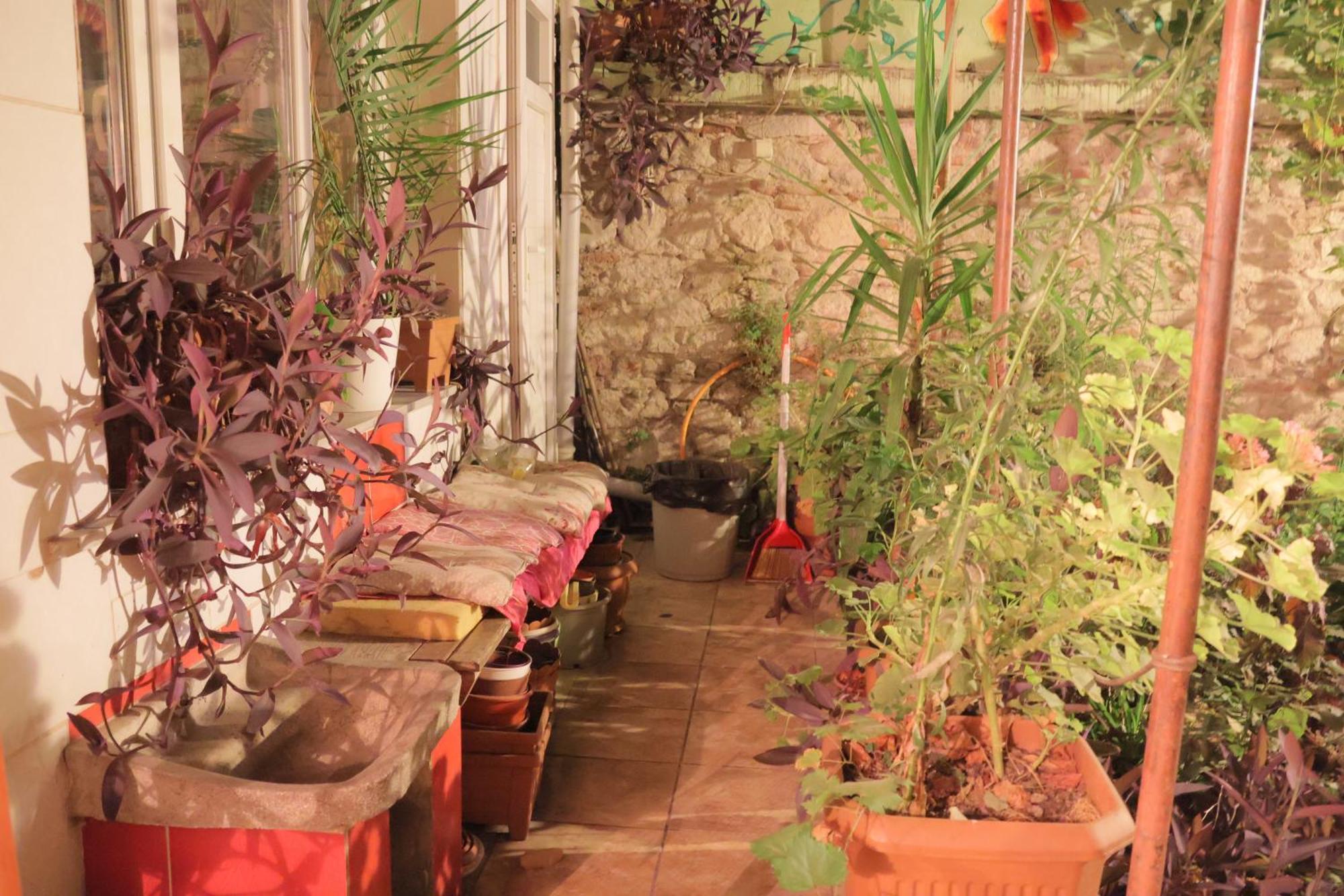 Lotus Garden Hostel Smirne Esterno foto